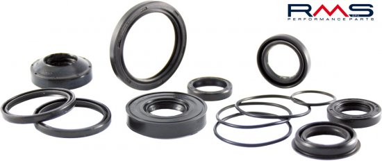 Oil seal RMS 100661860 20x30x7, crankshaft flywheel side (1 piece)