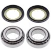 Steering bearing and seal kit All Balls Racing SB22-1003