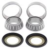 Steering bearing and seal kit All Balls Racing SB22-1006