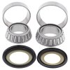 Steering bearing and seal kit All Balls Racing SB22-1009