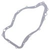 Ignition cover gasket WINDEROSA ICG 816131