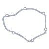 Ignition cover gasket WINDEROSA ICG 817280