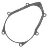 Ignition cover gasket WINDEROSA ICG 817405