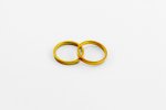 Spare rings PUIG 9170O SHORT WITH RING zlato