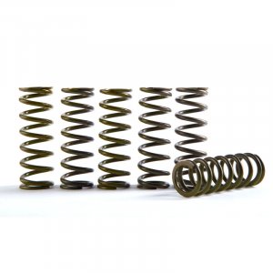 Clutch spring kit HINSON