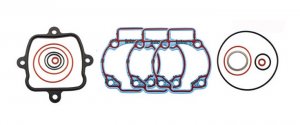 Engine gasket set RMS